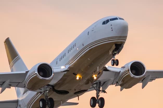flight jumbo